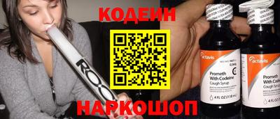 шишки Обь