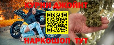 шишки Обь