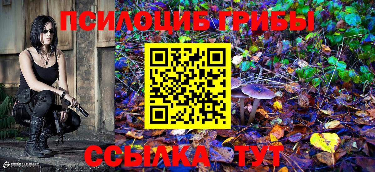 Симферополь  Псилоцибиновые грибы прущие грибы  что такое   Вход с VPN 
